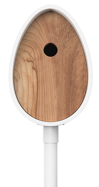 The stylish and cool award winning video birdhouse. Easy wireless streaming to your phone using a smart home camera. 